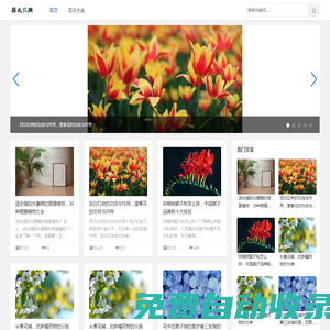 蒜之花網-探索豐富多彩的花卉世界