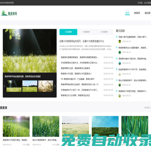 增潤黑麥草_黑麥草種子_黑麥草種植_增潤草_贈送黑麥草種植技術(shù)_湖南增潤農(nóng)業(yè)有限公司