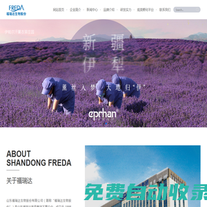 跨境電商_跨境電商運(yùn)營(yíng)_阿里巴巴國(guó)際站代運(yùn)營(yíng)公司
