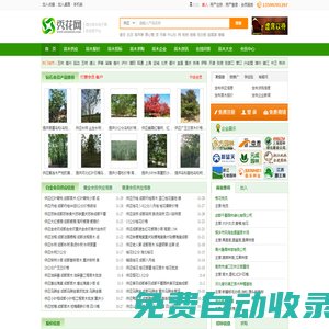 秀花網-綠化苗木花卉推廣B2B網站