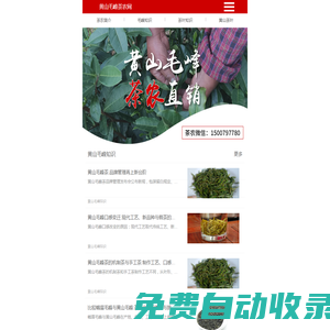 黃山毛峰茶農(nóng)網(wǎng) - 新茶上市