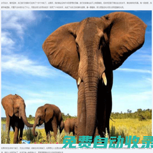 8k8k手游網(wǎng)-專注重度手游下載門戶資源網(wǎng)站