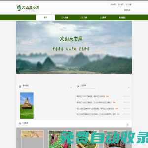 文山三七網(wǎng)_專營(yíng)_三七_(dá)三七粉_云南產(chǎn)地，貨真價(jià)實(shí)