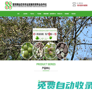普洱博業(yè)巨農(nóng)農(nóng)業(yè)發(fā)展農(nóng)民專業(yè)合作社 官網(wǎng)_農(nóng)業(yè)_紙皮核桃_核桃苗_櫻桃樹_櫻桃_晚熟芒果_晚熟芒果苗_梨樹_桃樹_李子樹_櫻桃李樹