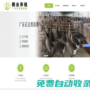 湛江市坡頭區(qū)鵬業(yè)養(yǎng)殖有限公司