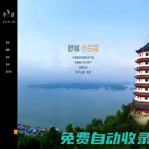 舒城小蘭花茶|安徽名茶_六安特產(chǎn)_國家地理標(biāo)志產(chǎn)品