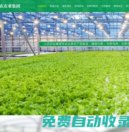 東莞蔬菜公司_東莞蔬菜配送_東莞蔬菜批發(fā)-廣東山農(nóng)農(nóng)業(yè)集團(tuán)有限公司