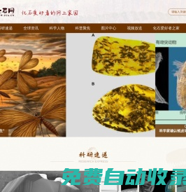 化石網(wǎng)