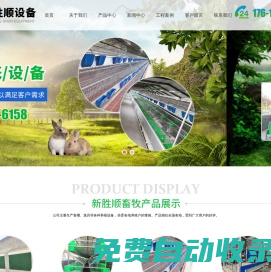 兔籠,新型兔籠,歐式兔籠,養豬設備-山東新勝順畜牧設備有限公司-