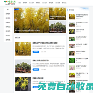 中華苗木網 - 綠化苗木|苗木價格|苗木求購|批發(fā)交易平臺