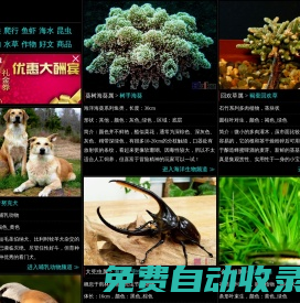 Sbike，識百客，動植物百科網，國內最專業的動物、寵物、植物、花卉科普信息分類、資料速查網站，足不出戶的動植物樂園！