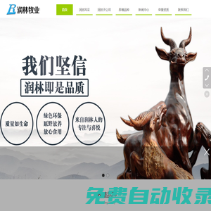 臨清潤(rùn)林牧業(yè)有限公司-青貯飼料-魯西黑頭羊-湖羊