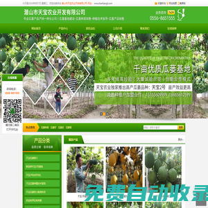 瓜蔞苗_瓜蔞種植基地_瓜蔞種植效益-潛山市天寶農(nóng)業(yè)開發(fā)有限公司