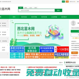 西北苗木網(wǎng)--苗木求購|綠化苗木價格|陜西苗木
