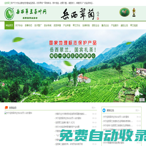 岳西翠蘭茶葉網