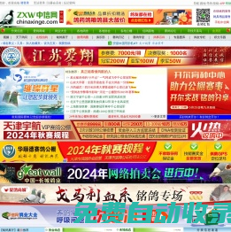 中信網-信鴿信息網