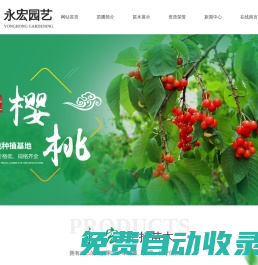 山東玉妃桃基地,泰安吉塞拉櫻桃苗基地,山東矮化果樹(shù)苗基地,山東蘭丁2號(hào)櫻桃苗批發(fā),泰安市泰山區(qū)永宏園藝場(chǎng)