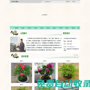 永濟(jì)市艷裝牡丹科技開發(fā)有限公司―牡丹,芍藥,花木,苗木,鮮切花供應(yīng)基地