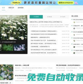 青伊湖綠化苗木種子合作社-批發銷售林木,草坪,牧草,草本花卉種子