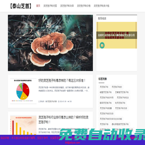 破壁靈芝孢子粉多少錢(qián)一斤及功效與作用-【泰山芝首】