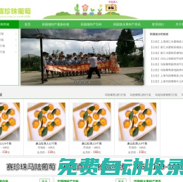 馬陸葡萄網(wǎng)-馬陸葡萄采摘攻略|新品種|禮盒裝|價(jià)格多少錢一斤