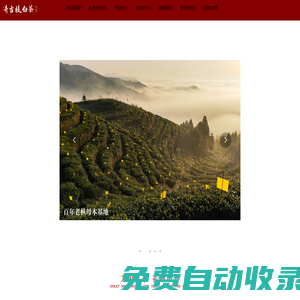 福建奇古枝茶業(yè)有限公司_食品