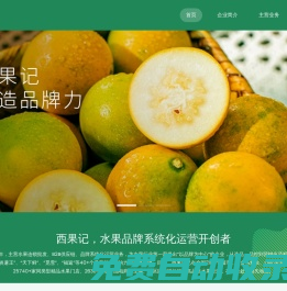 廣東西果記農(nóng)業(yè)發(fā)展有限公司- 塑造品牌力