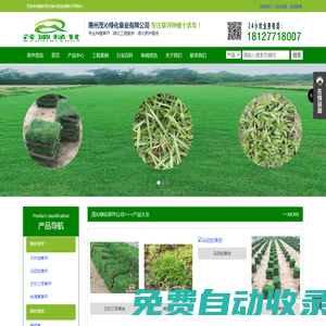 茂沁綠化-專業(yè)種植綠化草坪,綠化草皮,綠化草卷,草皮草坪,廣東省內(nèi)專業(yè)的草皮種植供應商,承接各種綠化養(yǎng)護工程