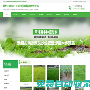 滁州馬尼拉草坪-百慕大草坪-混播草坪-果嶺草-滁州市南譙區(qū)珠龍綠翠草坪苗木經(jīng)營部
