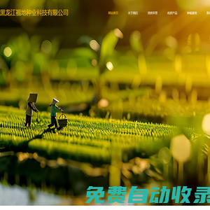 綏化種子 - 黑龍江福地種業科技有限公司 - 綏化種業 | 綏化水稻種子