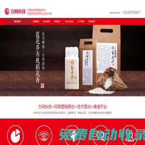 品牌營(yíng)銷推廣|品牌形象維護(hù)|網(wǎng)絡(luò)優(yōu)化推廣|網(wǎng)絡(luò)推廣公司|長(zhǎng)沙網(wǎng)站建設(shè)-力網(wǎng)網(wǎng)絡(luò)科技（長(zhǎng)沙）有限公司
