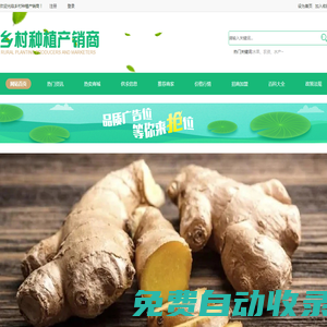 鄉村種植產銷商