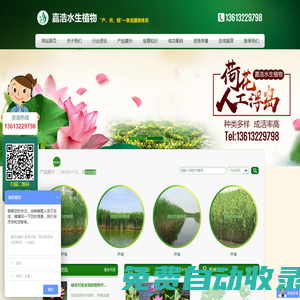 生態(tài)浮島_荷花種苗、蘆葦苗批發(fā)價(jià)格低_荷花種植方法-嘉浩水生_荷花苗,荷花種苗,荷花種植,蘆葦苗,生態(tài)浮島,粉黛亂子草,盆栽荷花,魯冰花