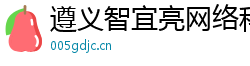 遵義智宜亮網絡科技