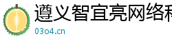 遵義智宜亮網絡科技工作室官網