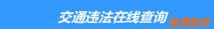 （手機版）漳州交通違章查詢-漳州違章查詢網