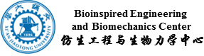 西安交通大學(xué)仿生工程與生物力學(xué)研究所