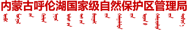 內(nèi)蒙古呼倫湖國家級(jí)自然保護(hù)區(qū)管理局