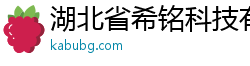 湖北省希銘科技有限公司-專業(yè)提供優(yōu)質(zhì)產(chǎn)品與服務(wù)