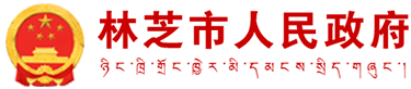 林芝市人民政府網(wǎng)