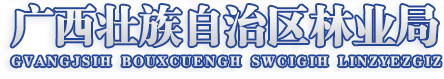 廣西壯族自治區林業局網站