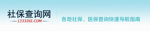 12333社保查詢-醫保社保卡個人賬戶網上查詢