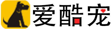 愛酷寵網(wǎng)-愛酷寵物分享狗狗美容護理狗狗訓練教程