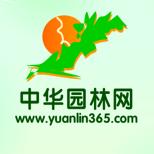 365園林網|苗木供應|苗木求購信息|綠化苗木價格|苗木價格-國內大型的園林行業網站