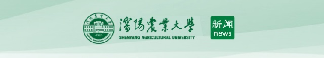 新聞網(wǎng)
