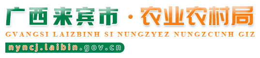 廣西來賓農(nóng)業(yè)農(nóng)村局網(wǎng)站