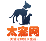 寵物狗,寵物貓,寵物知識大全_太寵網(wǎng)