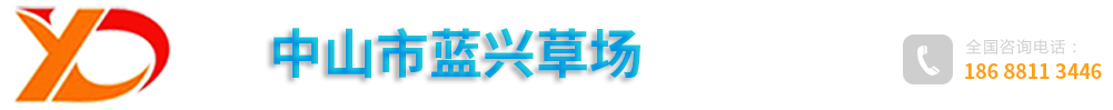蘭引三號草|夏威夷草|臺灣草-中山市藍興草場