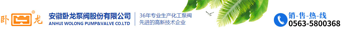 安徽臥龍泵閥股份有限公司