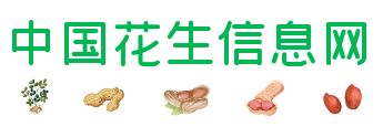 花生信息網:花生價格、花生米價格、花生網、花生果價格